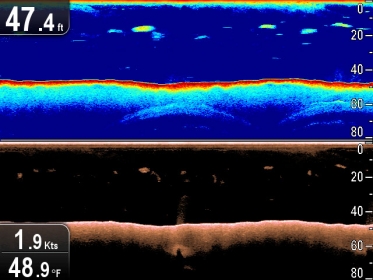 Эхолот-картплоттер Raymarine Dragonflay-7 PRO